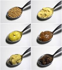 French Mustard Definition And Synonyms Of French Mustard In The English Dictionary