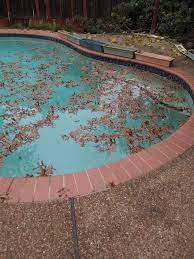Check spelling or type a new query. Is There Some Way To Keep All The Neighbors Leaves Out Of Our Pool Hometalk