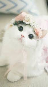 Pin On Cutest Baby Animals