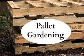 Cheap raised garden beds can be constructed from pallets which can be obtained for free from many businesses. Pallet Gardening 101 Creating A Pallet Garden One Hundred Dollars A Month