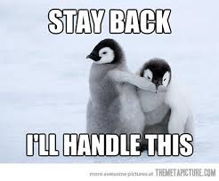 The best memes from instagram, facebook, vine, and twitter about meme penguins. Themetapicture Com Baby Penguins Penguins Funny Cute Penguins