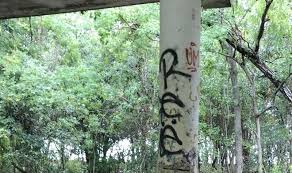 We analyze millions of used cars daily. Cleanup Crews Brave Alligators Snakes And More At Lincoln Beach Biz New Orleans