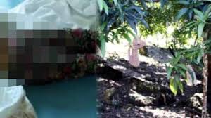 Foto orang keren dari belakang / foto kan cuma menunjukan 1 ekspresi, lagian tergantung megapixel juga, blm lagi ada fitur2 yg ngilangin jerawat mata besar hidung mancung dll, lebih real kaca. Janda Muda Digauli Paksa 8 Orang Main Di Belakang Musala Saat Difoto Petugas Si Wanita Bikin Gaya Halaman All Tribun Manado