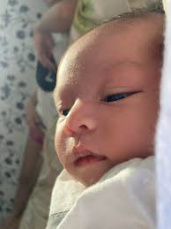 Dwight Javier Barnedo