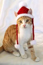 Santa Cat Hat Crochet Pattern Fun And Festive Christmas Etsy Cat Hat Pattern Crochet Cat Hat Crochet Cat