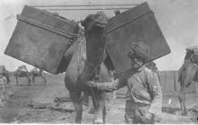 (this includes meals, sleeping and animal feeding). 695 Paddy Mchugh Virginia Mchugh The Australian Camel Landscape