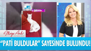 Pati Buldular Sayesinde 2 Kayip Kedimiz Bulundu Muge Anli Ile Tatli Sert 12 Eylul 2017 Hd Youtube