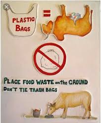 Here is a list of things that are thicker than a typical plastic grocery bag: Sui Ø³Ø±Ø¹Ø© ØªÙÙˆÙ‚ Ø³Ø±Ø¹Ø© Ø§Ù„ØµÙˆØª Ù…Ø­ØªØ±Ù… Design A Poster Against The Use Of Plastic Bags Cabuildingbridges Org