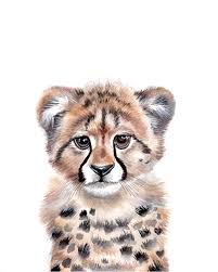 Based on an usual color variation, an additional cheetah species was described in 1927 — a. Baby Cheetah Nursery Wall Art Art By Emily Lemoine