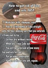 Never Heard This Before But If It Cleans Toilets Strips Coins It Should Kill The Little Blighters Lice Remedies How To Get Rid Health