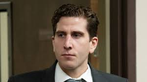 World Bee Day: Are bees bad?