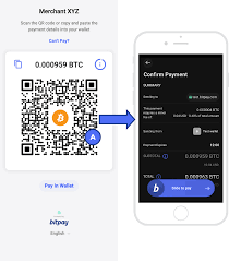 He said that paying via bitcoin is instantaneous, secure, and transparent.. How Do I Pay A Bitpay Invoice Bitpay Support