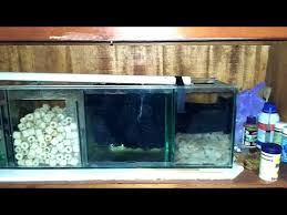 Top filter kit for length 40 60cm. Filter Aquarium Untuk Discus Youtube