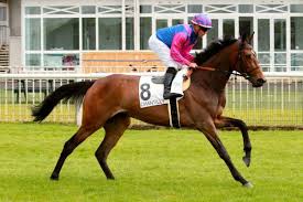 RÃ©sultat de recherche d'images pour "PHOTOS HIPPODROME DE PARISLONGCHAMP"