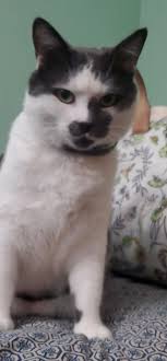 WhateverWednesday Hi, I'm new to your group. I hope this gets approved