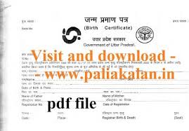 Uttar Pradesh Birth Certificate Format Download Up Birth Certificate Form Pdf Birth Certificate Form Birth Certificate Certificate Format