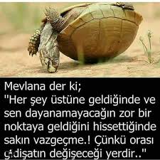Ayetler Enguzeldualar Evliyasozleri Hadisler Islamisozler Ayetler Hadisler En Guzel Dualar Islami Sozler Evliya Sozler Ozlu Sozler Motivasyon Kitap Kenari