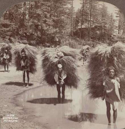 A bazaar scene in Simla— a photo from the 1890s. #history #india #shimla