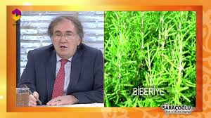 Bitki bakımı, kimi insan için oldukça kolay olsa da kimi insan için oldukça karmaşık olabiliyor. Evimizde Bulunmasi Gereken 10 Bitki Youtube