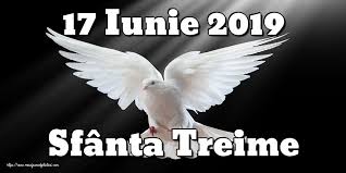 17 Iunie 2019 Sfanta Treime Animals Release Dove