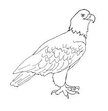 More images for how to draw an eagle for kids step by step » Eagle Drawing Step By Step Art Starts