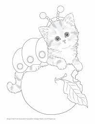 A realistic expectation for a teacup cat is to pictures a 4 or 5 month old regular cat. Cat For Colouring Cat Coloring Page Cute Coloring Pages Animal Coloring Pages