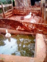 Trying But Drawing At Straws With This Them Upload And I Tend To Loose Focus On The Big Picture But Then Focus On Wh Creative Process To Loose Nothing To Fear