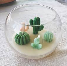 Cactus Terrarium Candle Etsy Terrarium Candle Cactus Candles Cactus Terrarium