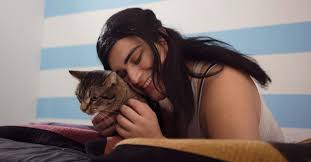 En matière de désensibilisation, il est important d'être bien informé. Allergie Aux Chats Des Chercheurs Font Baisser L Allergene Fel D1 De Maniere Drastique