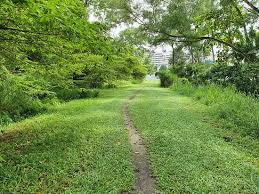 The work they perform is beyond comparison with other cleaning services we have had in the past. Tampines Eco Green Picture Of Tampines Eco Green Singapore Tripadvisor