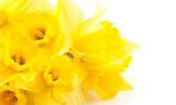 Click on the flowers in the secret place chapter 77 image to go to the next or previous page. 0fcpszsko Jmgm