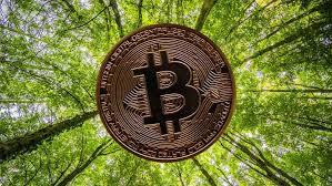 Could choose to increase bitcoin's token limit at some point in the future. Bitcoin Carbon Footprint The Future Of Online Payments Ecobahn