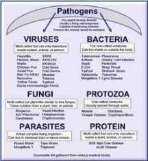 Expatica is the international community's online home away from home. Microbiology Just Because I Might Not Have Paid Attention The First Time Medical Assistant Student Medical Laboratory Science Medical Laboratory