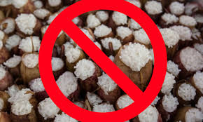 Give one a try before trekking into areas where you'll be vastly outnumbered by carnivorous plants—they grow in wild abundance all over the surrounding forests. Berhenti Elak Makan Atau Beli Lemang Periuk Kera Buzzkini