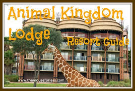 Disney S Animal Kingdom Lodge Guide Walt Disney World Disney Animal Kingdom Lodge Animal Kingdom Disney Animal Kingdom Lodge