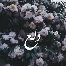 صور اسم يوسف في خلفيات ورمزيات مميزة، أحلي صور مكتوب عليها كلمة يوسف للشباب والأطفال بأسم يوسف نقدم لكم أروع وأجمل الرمزيات التي تصلح لمواقع التواصل فيس بوك وتويتر كما أنها تصلح كصور رمزية علي واتس وفايبر. ØµÙˆØ± Ø§Ø³Ù… Ø¯ Ù„ Ø¹ Ù‚Ø§Ù…ÙˆØ³ Ø§Ù„Ø£Ø³Ù…Ø§Ø¡ Ùˆ Ø§Ù„Ù…Ø¹Ø§Ù†ÙŠ