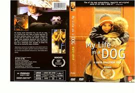 Amazon.com: My Life as a Dog (Import) : Anton Glanzelius, Tomas von  Brömssen, Anki Lidén, Melinda Kinnaman, Lasse Hallström: Movies & TV