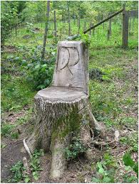 Roundup will not enter the soil and harm nearby trees and plants, making it safe for use near desirable plants. How To Kill A Stump With Roundup Arxiusarquitectura