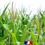 France Launches Over €1 Billion Aid Plan as Severe 2026 Drought Deepens