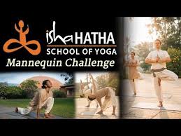 Pin By 27 83 326 4895 On How To Do Yoga How To Do Yoga Isha Yoga Basic Yoga Poses