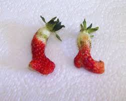 Pin On Funny Food