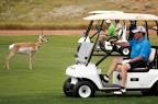 Bell Knob Golf Course | Playeasy