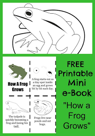 Frog1 coloring pages s coloring page. Free How A Frog Grows Printable E Book Coloring Pages