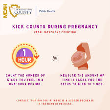 Image result for Fetal Movement Count