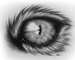 Easy techniques for drawing people, animals and more. Image Result For Pinterest Animal Eyes Pencil Drawings Cat Eyes Drawing Eye Drawing Eye Pencil Drawing