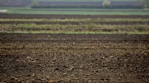 Anastasia moraru, tatiana sultanova, елена степанова. Vrei SÄ Cumperi Teren Agricol PreÅ£urile Per Hectar In FuncÅ£ie De Regiunea Moldovei Si Alte Å£Äri Publika Md Aici Sunt Ètirile