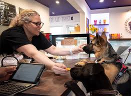While waiting to get adopted dogs are loved like family.quality of care is the highest of our priorities. Bites For Barkers At Bones Bakery Dining Reviews City News Arts Life