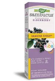 Amazon Com Nature S Way Sambucus Elderberry Syrup For Kids Herbal Supplements Gluten Free Vegetarian 8 Oz Health Personal Care