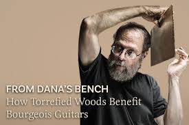 Review & Articles Archives