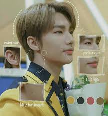 Pin Oleh The Gh0st Eme Di Stray Kids Pisces Zodiac Orang